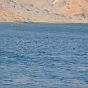 MAR_0962