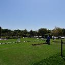 CHR_3141