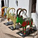 CHR_3207