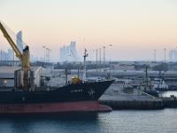 CHR 1568 : Kreuzfahrt, Urlaub, Dubai mit Katar & Oman mit Mein Schiff 5
