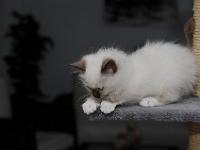 Abby