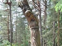 CHR 7049 : Klaipeda, Kreuzfahrt, Orte, Ostsee Baltikum 2016 mit Danzig mit Mein Schiff 4, Urlaub