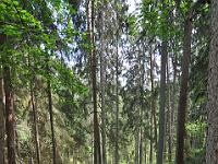 CHR 7058 : Klaipeda, Kreuzfahrt, Orte, Ostsee Baltikum 2016 mit Danzig mit Mein Schiff 4, Urlaub