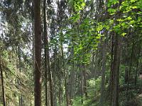 CHR 7059 : Klaipeda, Kreuzfahrt, Orte, Ostsee Baltikum 2016 mit Danzig mit Mein Schiff 4, Urlaub