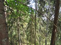 CHR 7060 : Klaipeda, Kreuzfahrt, Orte, Ostsee Baltikum 2016 mit Danzig mit Mein Schiff 4, Urlaub