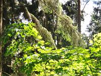 CHR 7065 : Klaipeda, Kreuzfahrt, Orte, Ostsee Baltikum 2016 mit Danzig mit Mein Schiff 4, Urlaub