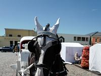 L1020500 : Klaipeda, Kreuzfahrt, Orte, Ostsee Baltikum 2016 mit Danzig mit Mein Schiff 4, Urlaub