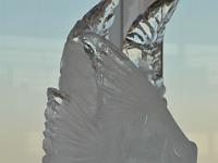 CHR 7542 : Kreuzfahrt, Orte, Ostsee Baltikum 2016 mit Danzig mit Mein Schiff 4, St. Petersburg, Urlaub