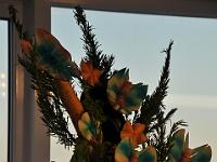 CHR 7612 : Kreuzfahrt, Orte, Ostsee Baltikum 2016 mit Danzig mit Mein Schiff 4, St. Petersburg, Urlaub