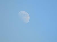 CHR 8116 : Kreuzfahrt, Orte, Ostsee Baltikum 2016 mit Danzig mit Mein Schiff 4, St. Petersburg, Urlaub