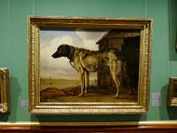 L1020866 : Kreuzfahrt, Orte, Ostsee Baltikum 2016 mit Danzig mit Mein Schiff 4, St. Petersburg, Urlaub