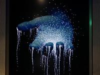 L1020108 : Kreuzfahrt, Ostsee Baltikum mit Danzig, Urlaub