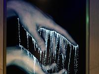 L1020114 : Kreuzfahrt, Ostsee Baltikum mit Danzig, Urlaub