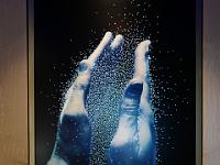 L1020117 : Kreuzfahrt, Ostsee Baltikum mit Danzig, Urlaub