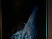 L1020169 : Kreuzfahrt, Ostsee Baltikum mit Danzig, Urlaub