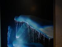 L1020171 : Kreuzfahrt, Ostsee Baltikum mit Danzig, Urlaub